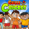 Gully Cricket